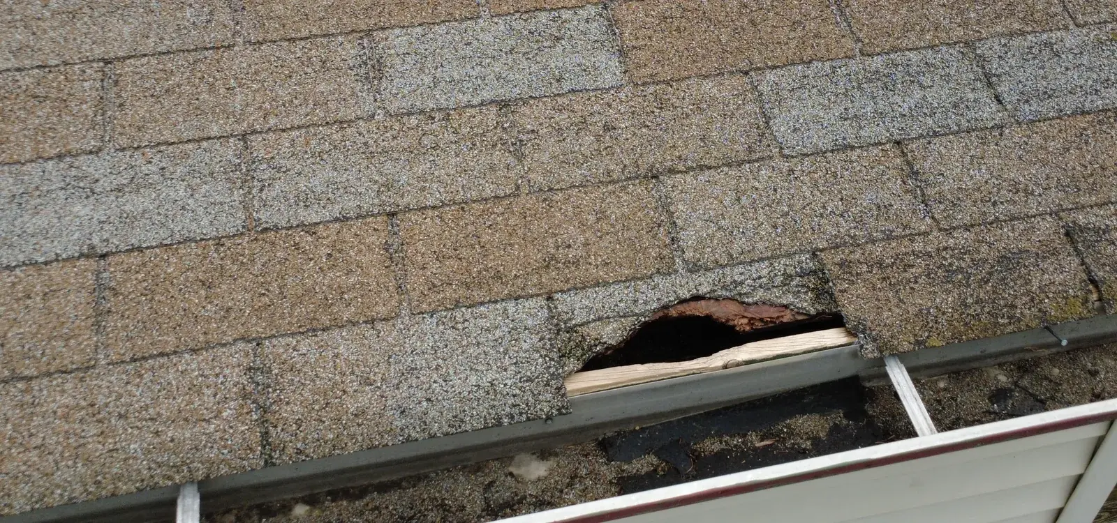 Existing roof-eave hole before repair