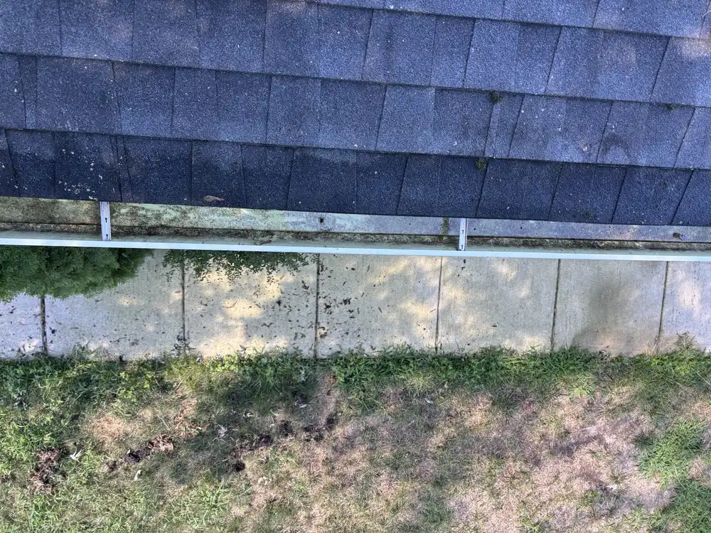 Gutter with visible buildup and organic debris before cleaning