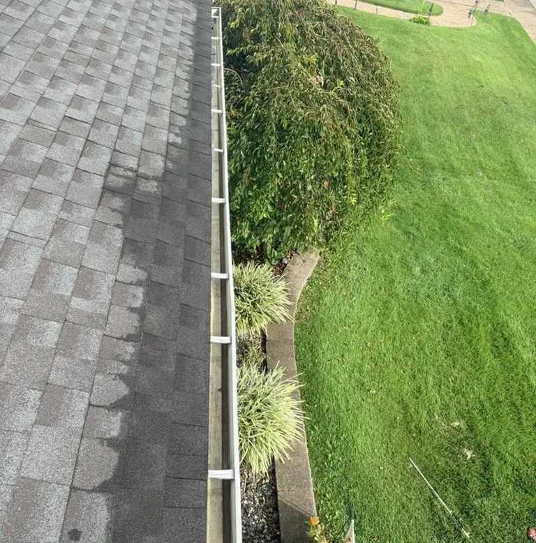 Gutter run after the documented cleaning visit