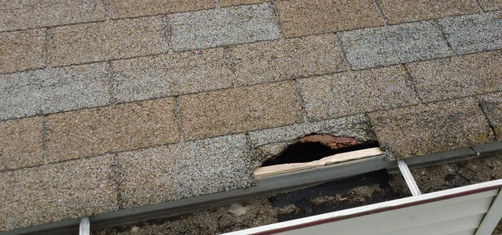 Existing roof-eave hole before repair