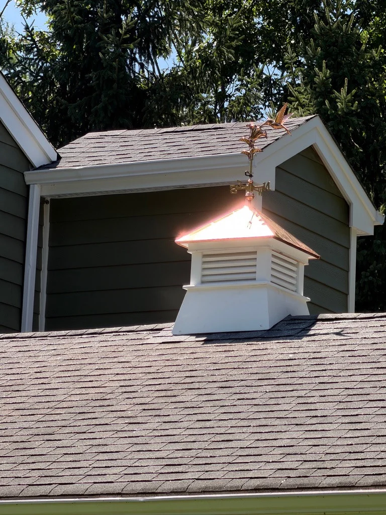 Shed roof and cupola detail