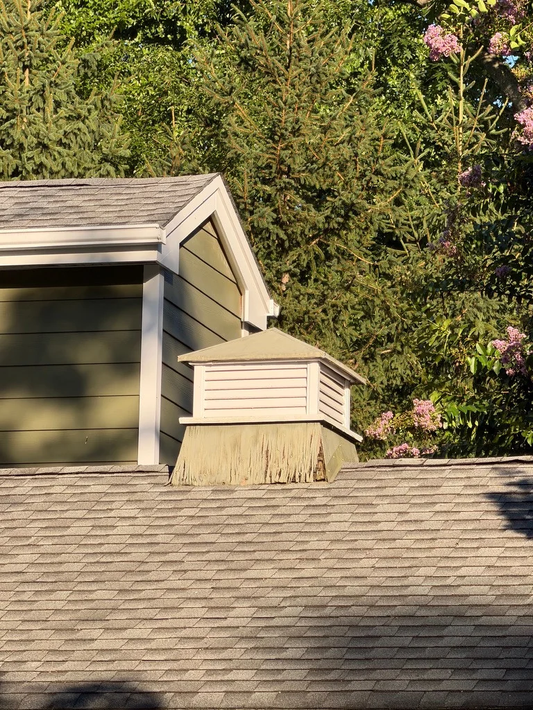 A second view of the cupola and roof