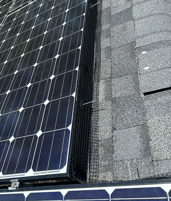 Solar and roof-work detail in Brick Township, New Jersey